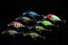 Cá giả Crankbait Bionic LD-C0026 (7cm-9.6g-1,5m)