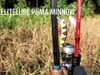 Cá giả Minnow Elitelure Puma 50s (6.5g-50mm)