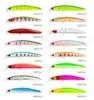 Cá giả Minnow Tsurinoya DW70 (9.5g-100mm)