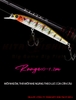 Cá giả Minnow Tsurinoya DW70 (9.5g-100mm)