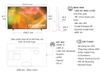 Smart Tivi Samsung Crystal UHD 4K 70 inch UA70AU8000KXXV