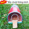 Bẫy chuột thông minh cửa 1 chiều, bẩy 1 lần là cả đàn, có vào không có ra