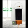 long-ap-artemia