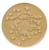 coliform-agar-acc-to-iso-9308-1-chromocult