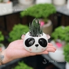 Chậu Thú Mini [Animal Succulent Planters]