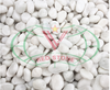 SNOW WHITE PEBBLES (Decorative gravels)