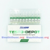 testo-depot-testosteron-enanthate-250-test-e-meditech-ong-1ml
