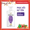 Dầu gội Pantene  chăm sóc hư tổn 650ml chai