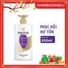 Dầu xả Pantene  chăm sóc hư tổn 650ml chai