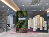 thi-cong-lap-dat-he-thong-cay-la-gia-tai-showroom-gach-eurotile