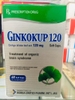 ginkokup-120mg