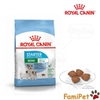 Thức Ăn Khô Cho Chó Royal Canin Mini Starter Mother & Babydog