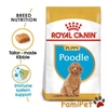 Thức ăn khô cho chó Royal Canin Poodle Puppy