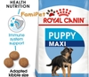 Thức Ăn Khô Cho Chó Royal Canin Maxi Puppy