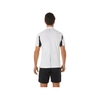 Áo Polo Asics Chính Hãng - Dry Cotton Polo Shirt  - Xanh | JapanSport 2101A174-100