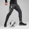 Quần Puma Nam Chính Hãng - Olympique de Marseille Prematch Pants - Xám | JapanSport 769587-26