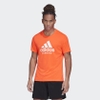 Áo phông Adidas Chính Hãng - PLAYERA BADGE OF SPORT GFX - Orange | JapanSport -FJ5003