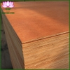 commercial-plywood-bintangor-face