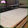 core-plywood