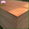 commercial-plywood-bintangor-face