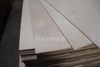 birch-plywood-face-d-thickness-from-3mm-30mm