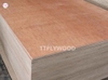 bintangor-commercial-plywood-mlh-thick-17-5mm