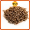 Biozym Thức ăn cho cá Trùng huyết sấy khô - Biozym Dried Bloodworm - Lọ 16g