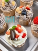 50c cốc giấy lót cupcake màu trơn 6.5cm