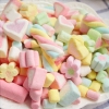 Kẹo dẻo marshmallow nhiều mẫu