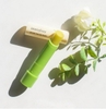 Son dưỡng môi không màu Innisfree Canola Honey Lip Balm Stick