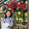 Le Minh Nguyen