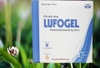 Lufogel