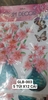 pvn17245-tranh-3d