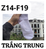 pvn61103-tat-nam-nu