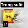 pvn68122-bong-den-qua-nhot-den-trai-ot