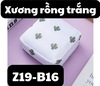 pvn58451-tui-dung-bang-ve-sinh