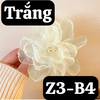 pvn64146-kep-toc-eugenia-flower-holiday