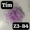pvn64146-kep-toc-eugenia-flower-holiday