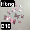 pvn66582-set-12-buom-3d