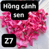 pvn63037-set-5-kep-toc-hinh-no-mini