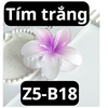 pvn61004-kep-toc-hoa-su-4cm
