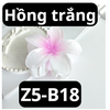 pvn61004-kep-toc-hoa-su-4cm