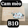 pvn46351-bo-100-giay-tham-dau