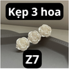 pvn62164-kep-toc-hoa-tra