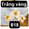pvn63904-kep-toc-3-hoa-su