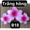 pvn63904-kep-toc-3-hoa-su