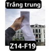 pvn61103-tat-nam-nu