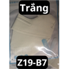 pvn60035-khau-trang-cotton