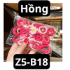 pvn62352-set-50-buoc-toc-hoa-cuc