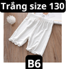 pvn62495-quan